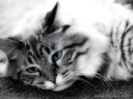 TROP BEAU!!!!!!!!!!!!!